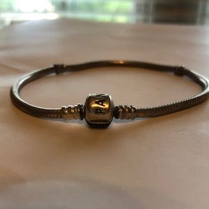 Pandora iconic charm bracelet